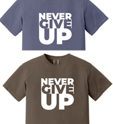 Never Give Up Never Give Up